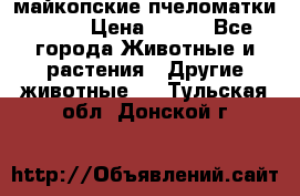  майкопские пчеломатки F-1  › Цена ­ 800 - Все города Животные и растения » Другие животные   . Тульская обл.,Донской г.